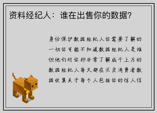 资料经纪人：谁在出售你的数据？